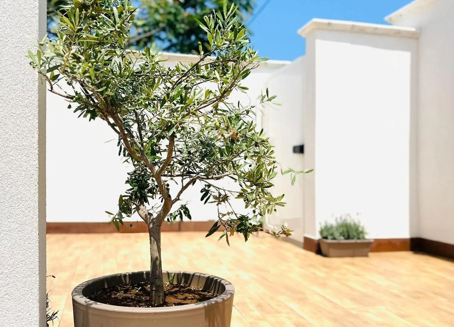 Appartement La Maison D'Isabelle Bari
